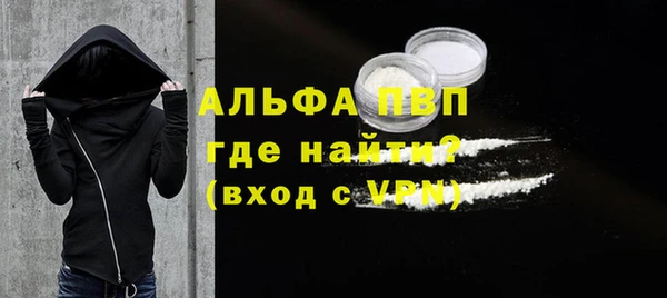 эйфоретик Няндома