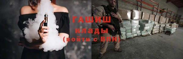 эйфоретик Няндома