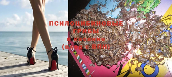 альфа пвп Новокубанск