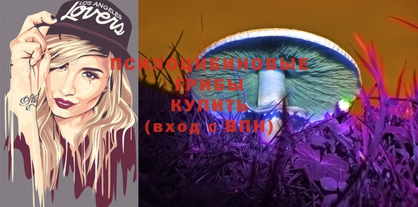 эйфоретик Няндома