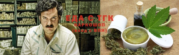 эйфоретик Няндома