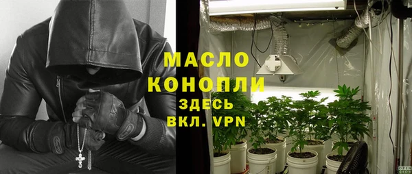эйфоретик Няндома