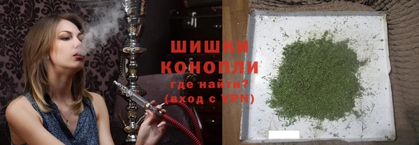 стафф Новодвинск
