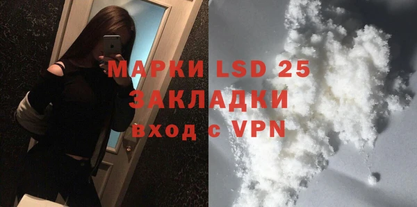 стафф Новодвинск