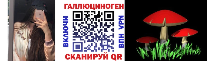 где можно купить наркотик Касли Галлюциногенные грибы Psilocybe